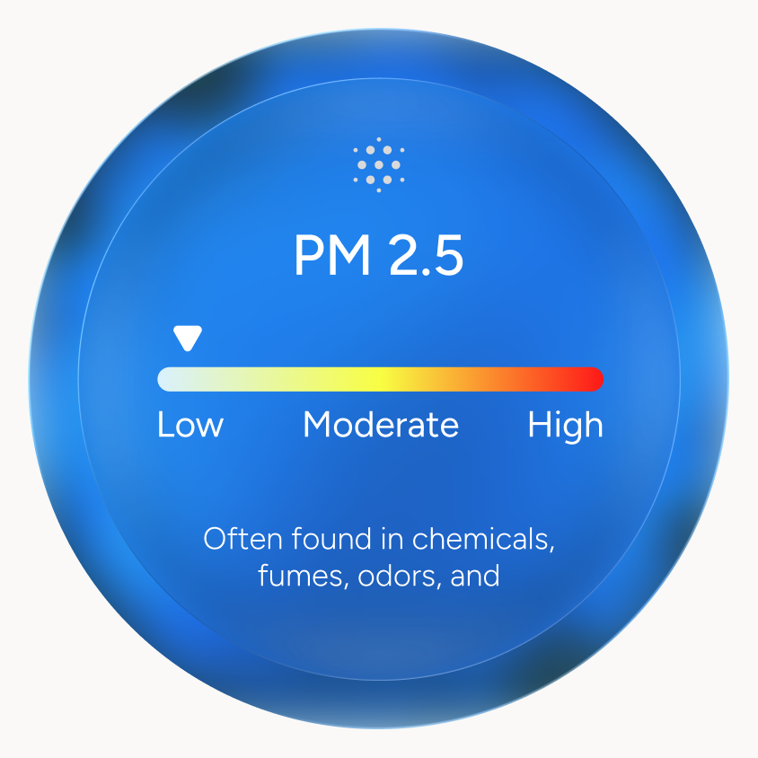 PM 2.5 particulate level indicator